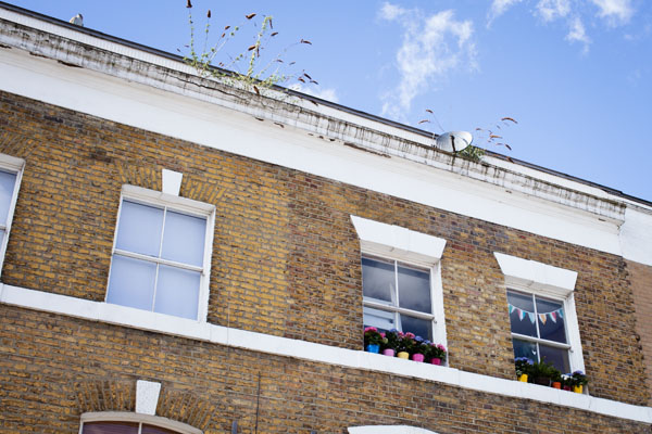 London Field London Field