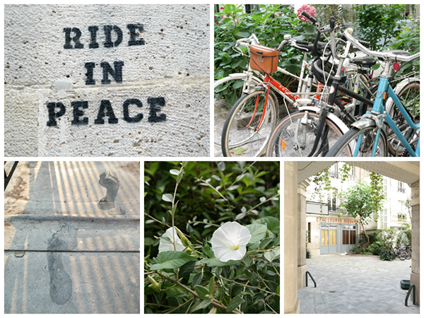 #ImageLogger Semaine 7 #ImageLogger Semaine 7