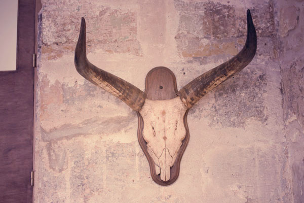 Coffee shop parisien Folks and Sparrows