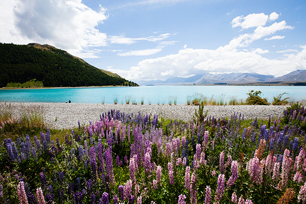 Paysages de Nouvelle-Zélande