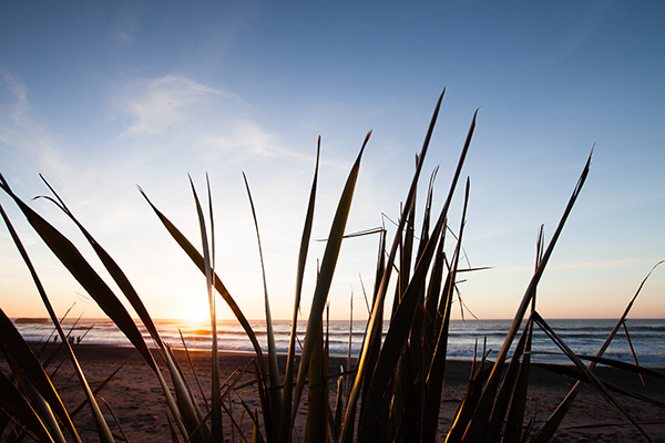 Paysages de Nouvelle-Zélande