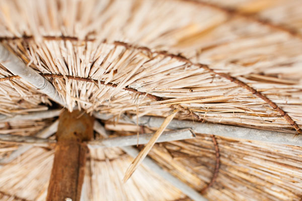 Halkidiki beach party