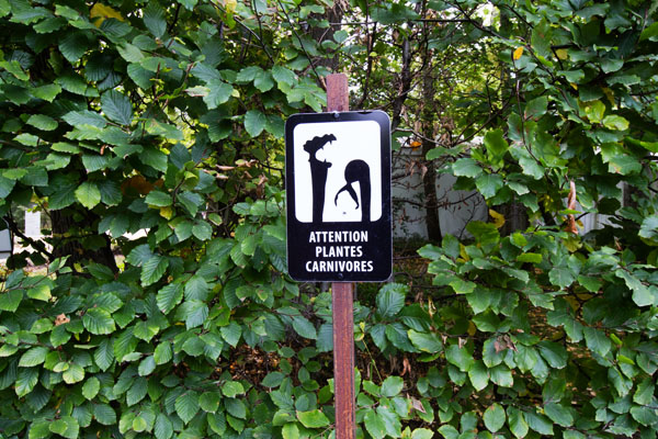 Domaine de Chaumont-sur-Loir