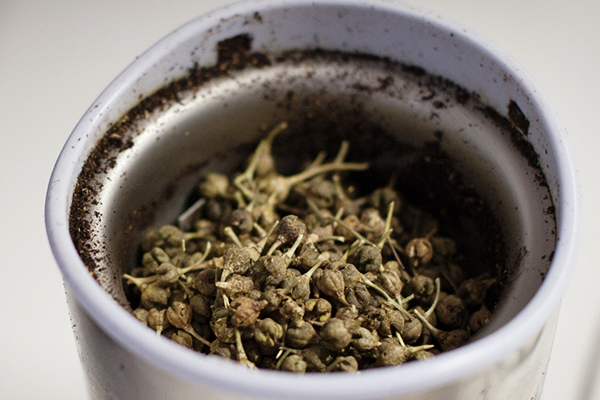 Alchimiste - Moudre les épices