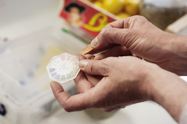 Alchimiste - Mesure du sucre et du PH