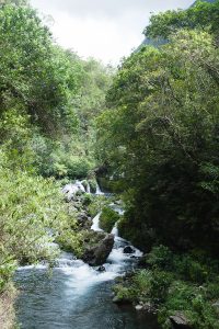 Cascade Ile de la Réunion