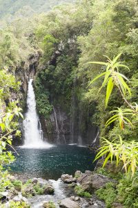 Cascade Ile de la Réunion