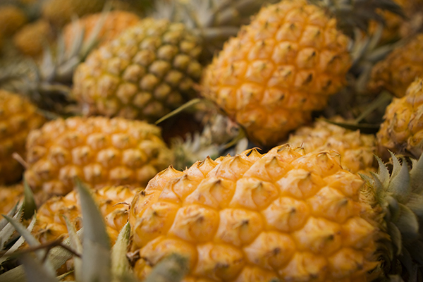 Les ananas de la Réunion