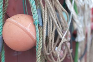 Vieux Port de Biarritz