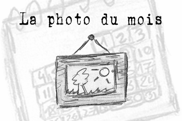 La Photo du Mois