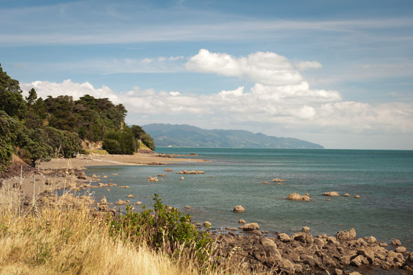 Coromandel Nouvelle-Zélande île du nord