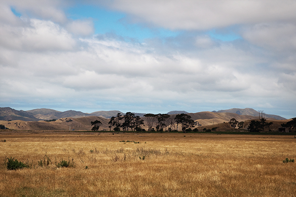Paysage de Nouvelle-Zélande - île du sud