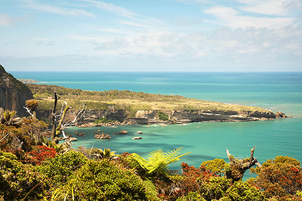 Cape Foulwind en Nouvelle-Zélande