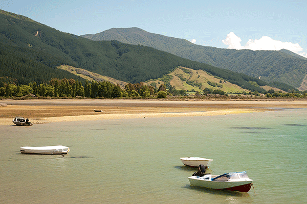 Waikawa proche de Picton en Nouvelle-Zélande