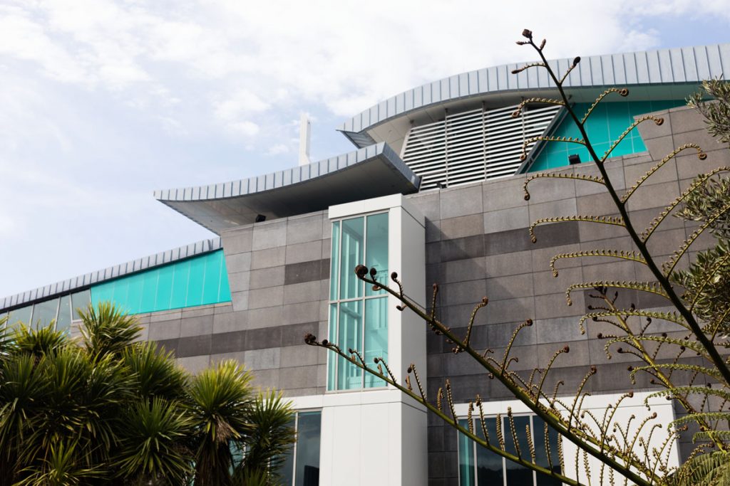 Te Papa museum Wellington