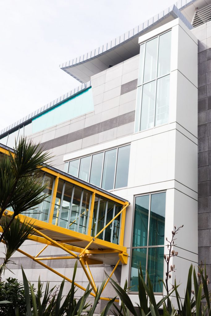 Te Papa museum Wellington