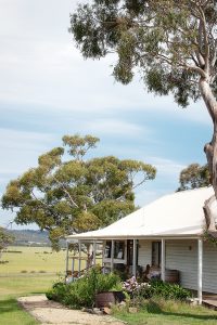 Milton Vineyard Tasmanie
