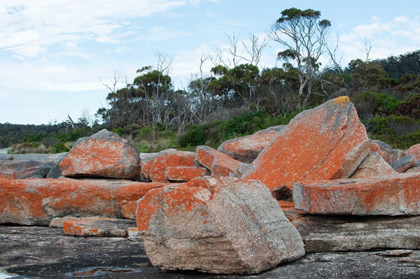La péninsule de Freycinet à Bicheno