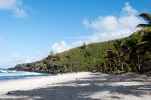 Plage de Grande Anse La Reunion