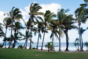 Plage de Grande Anse La Reunion