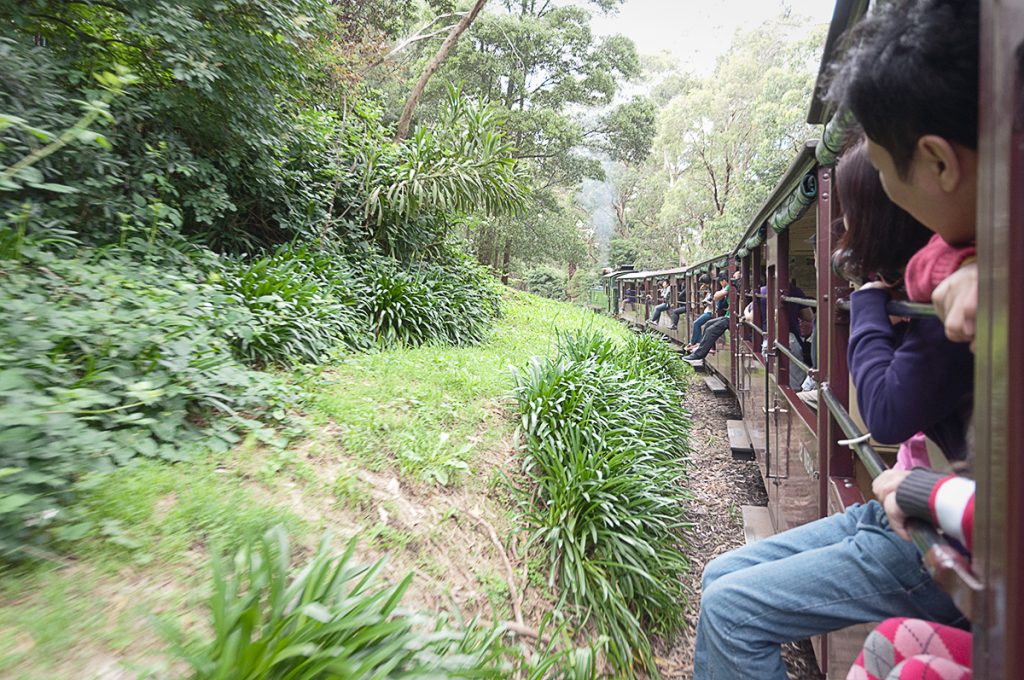 DSC_4566Puffing Billy train Melbourne
