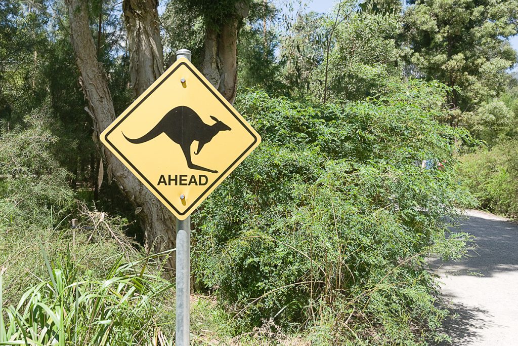 Animaux d'Australie