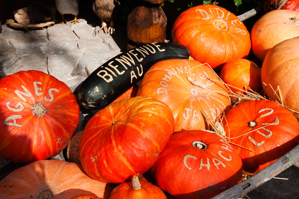 Domaine du Haut-Jardin