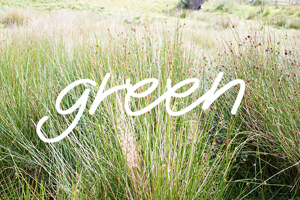 TOP 10 astuces green