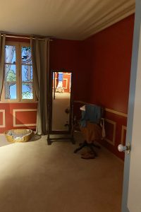 Exposition Tintin Cheverny