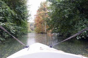 Découverte parc Cheverny