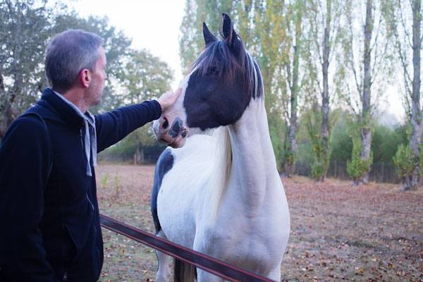 Chambre d'hôte Villepalay