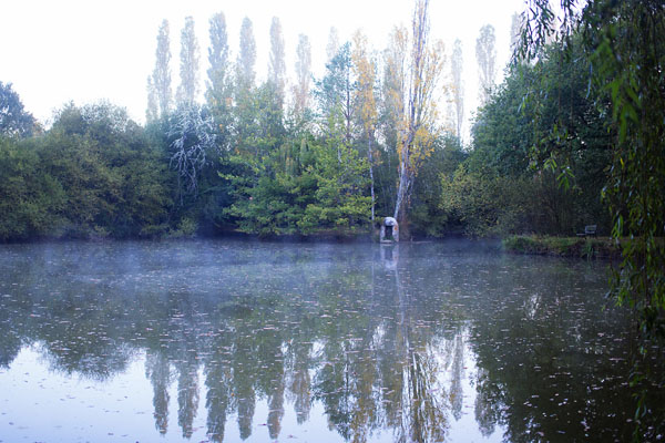 Chambre d'hôte Villepalay