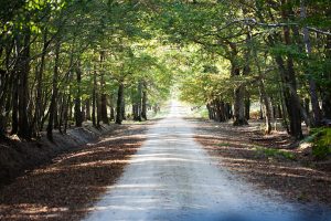 Domaine du Château de Chambord en 4x4