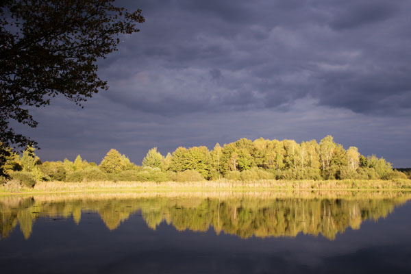Sologne Environnement Nature