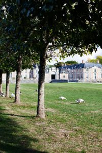 CHâteau de la Ferté Saint-Aubin en Sologne