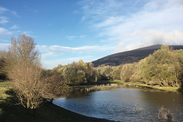 Devin castle Bratislava
