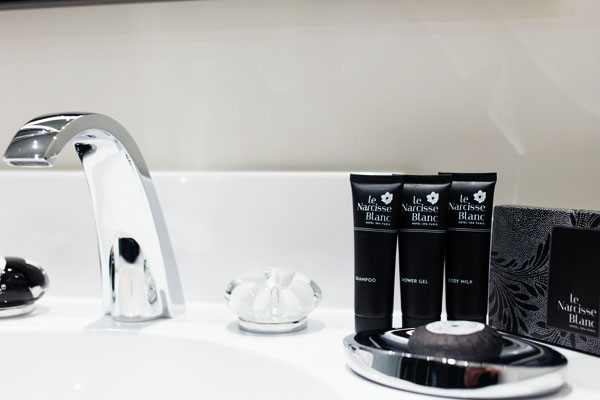 Hôtel Le Narcisse Blanc SDB