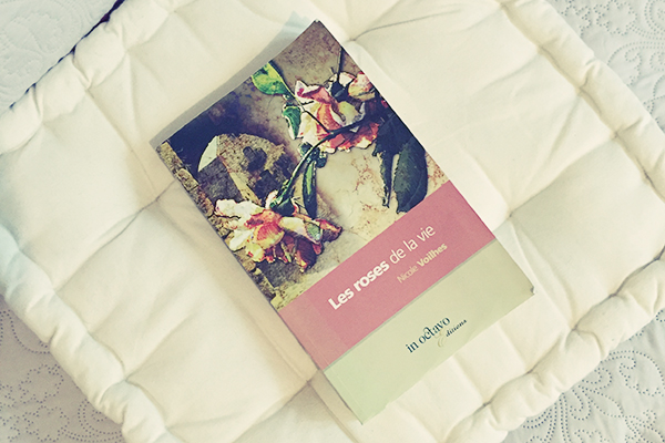 Chambres d'hôtes H. de Surgères