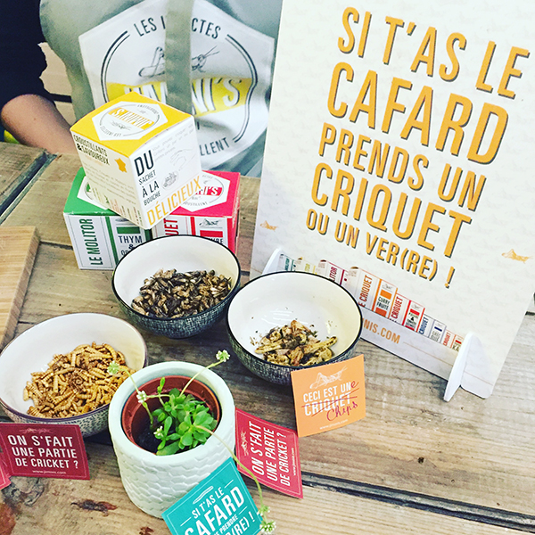 Dégustation de criquets avec Jimini's