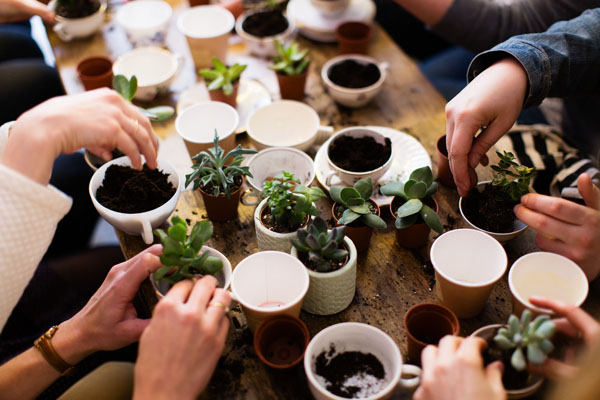 CRéation florale avec Les Jumeaux Fleuristes
