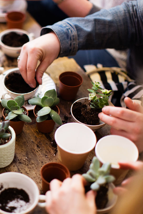 CRéation florale avec Les Jumeaux Fleuristes