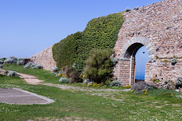 Fort du Cap Levy