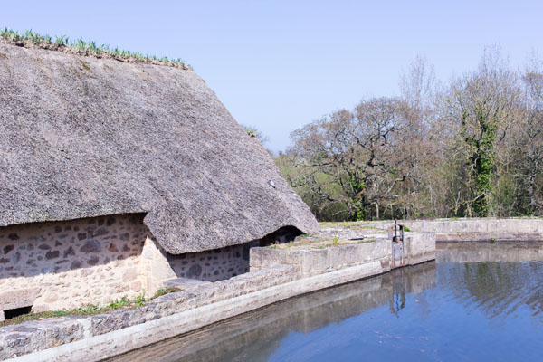 Moulin à eau de Marie Ravenel