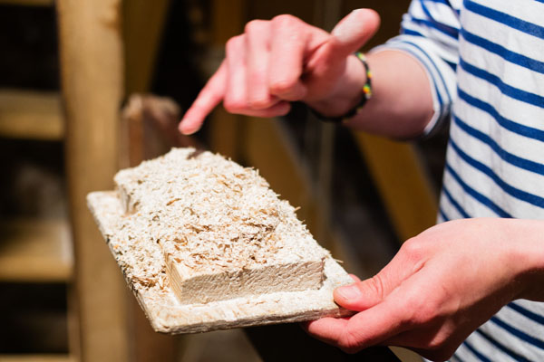 Moulin à vent du Cotentin