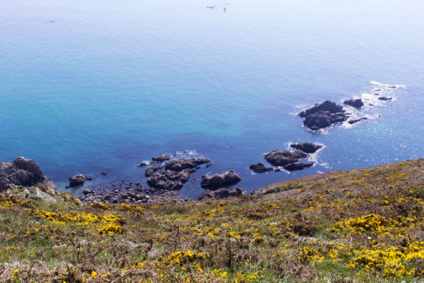Nez de Jobourg Manche
