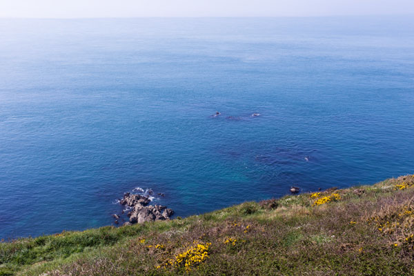 Nez de Jobourg Manche