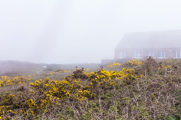 Nez de Jobourg sous la brume