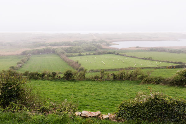 Bocage de Vauville Manche