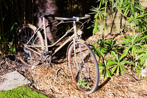 Hôtel des Ormes Barneville-Carteret