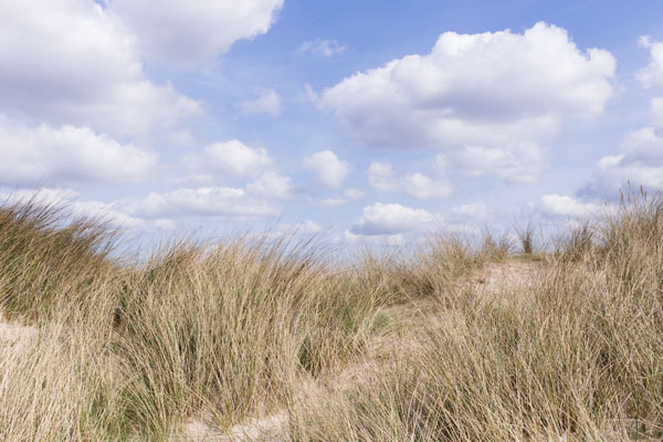 Plage de Pirou Manche